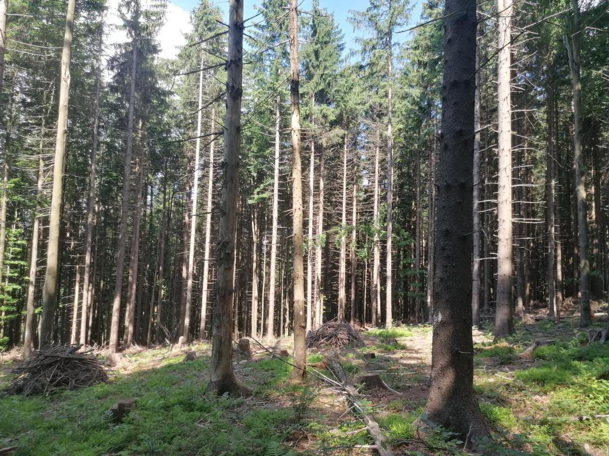 Apartament Zakątek DoriMaks Zawoja Zewnętrze zdjęcie